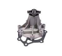 HEPU P7988 Pompa acqua