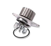 Pompa dell'acqua HEPU P804