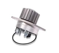 Pompa dell'acqua HEPU P812