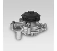 HEPU P838 Pompa acqua