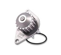 Pompa dell'acqua HEPU P846