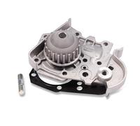 Pompa acqua meccanico P849 HEPU per RENAULT DACIA