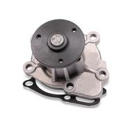 Pompa dell'acqua HEPU P901