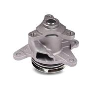 Pompa dell'acqua HEPU P905