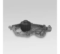 Hepu Pompa dell'acqua P940 meccanica per RENAULT