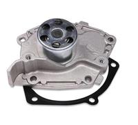 Hepu Pompa acqua P955S compatibile con Renault Opel Volvo Nissan