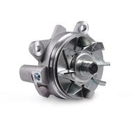 Hepu Pompa dell'acqua P956 per Renault, Nissan, Opel