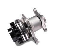 Pompa dell'acqua HEPU P964