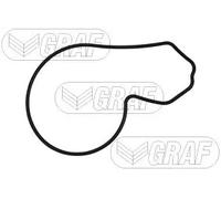 Pompa acqua meccanico PA1013 GRAF per HONDA FR-V CIVIC VIII Hatchback CR-V III