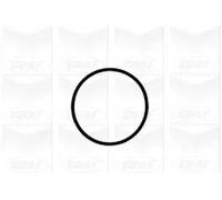 Pompa acqua meccanico PA1041 GRAF per VW AUDI SKODA PORSCHE FORD