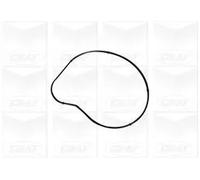 Graf Bmw Serie 5 (E60) (E61) / X5 (E70) Pa1058