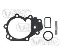 Pompa acqua meccanico PA1075 GRAF per RENAULT TWINGO II