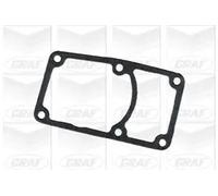 Pompa dell’acqua, raffreddamento motore PA108 GRAF per OPEL