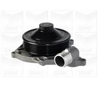 POMPA ACQUA DISTRIBUZIONE AUTO GRAF METELLI PA1081