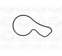 POMPA ACQUA DISTRIBUZIONE AUTO GRAF METELLI PA1092