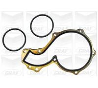 Pompa acqua meccanico PA1104 GRAF per AUDI VW SEAT FORD