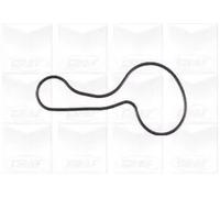 GRAF PA1119 Pompa acqua