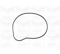 Pompa Dell’acqua Raffreddamento Motore Graf PA1129 per Bmw