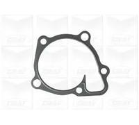 Graf Pompa Acqua Citroen / Peugeot Pa1135