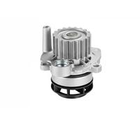 Graf PA1137 Raffreddamento Motore