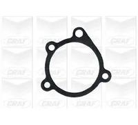 Graf PA117 Pompa Acqua Raffreddamento Motore per Ford Capri III Sierra Familiare
