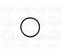 GRAF PA1245 Pompa acqua