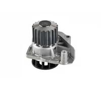 Graf PA1249 Raffreddamento Motore
