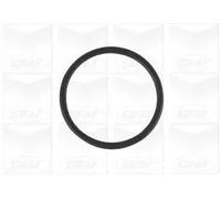 GRAF PA1269 Pompa acqua