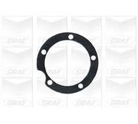 Pompa acqua meccanico PA134 GRAF per MERCEDES-BENZ /8 123 Tre volumi CLASSE S SL