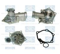 Saleri SIL PA1345 Pompa acqua