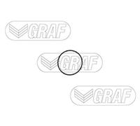 GRAF Pompa acqua PA1350