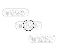 GRAF PA1405 Pompa acqua