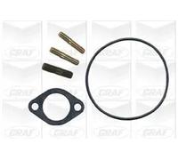 Pompa acqua meccanico PA178 GRAF per OPEL RENAULT IVECO ALFA ROMEO