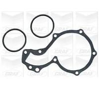 Graf 'Audi: 100 1.6 Pa279