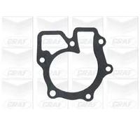 Pompa acqua meccanico PA323 GRAF per FORD LDV