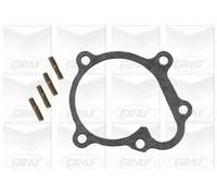 Pompa acqua meccanico PA415 GRAF per OPEL CORSA A Hatchback CORSA B KADETT E