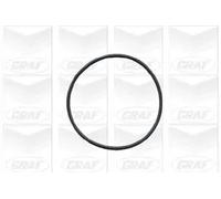 PA423 POMPA ACQUA GRAF per VW POLO / SEAT TERRA 1.3 / 1.4 Diesel 031.121.005C