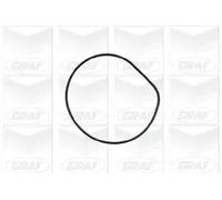 GRAF PA426 Pompa acqua