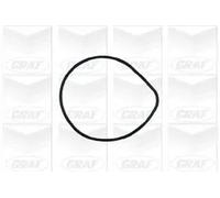 GRAF PA427 Pompa acqua