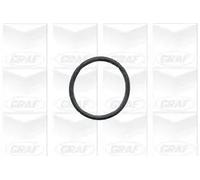 Pompa acqua meccanico PA431 GRAF per BMW 3 5 Touring 5