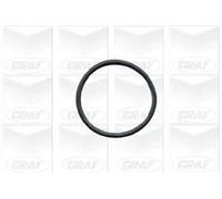 Pompa acqua meccanico PA432A GRAF per BMW 3 Coupé 5 Touring 3 7 3 Compact 5 X3