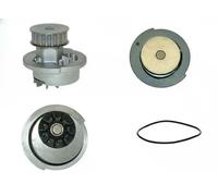 Saleri SIL PA437P Pompa dell’acqua, raffreddamento motore per BEDFORD,CHEVROLET,