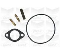 Pompa acqua meccanico PA454 GRAF per FIAT DUCATO Panorama DUCATO Furgone