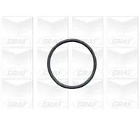 PA502A- POMPA ACQUA GRAF BMW SERIE 7 (E38) 725 tds 105kw -NUOVA