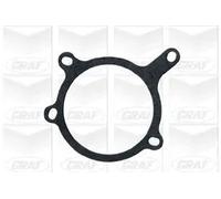 Pompa acqua meccanico PA509 GRAF per FORD MONDEO I Tre volumi MONDEO II Turnier