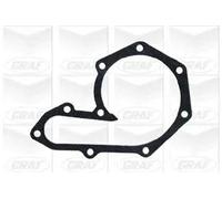 Pompa acqua meccanico PA531 GRAF per RENAULT VOLVO MITSUBISHI OPEL DACIA