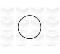 GRAF PA541 Pompa acqua