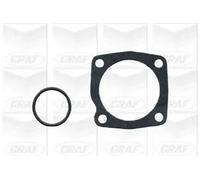 Pompa acqua meccanico PA553 GRAF per FIAT PUNTO PUNTO Van STRADA Pick-up