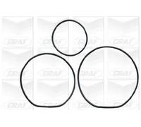 Pompa acqua meccanico PA562 GRAF per ROVER HONDA LAND ROVER MG RELIANT