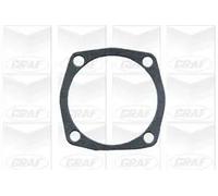 POMPA ACQUA WATER PUMP GRAF PER FIAT TEMPRA TIPO UNO PA566 7784975 7691048